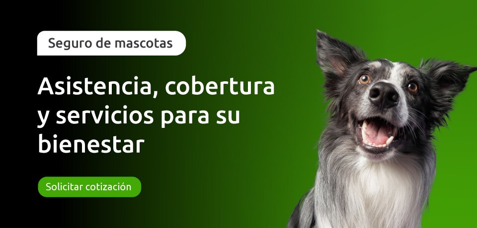 banner mobile