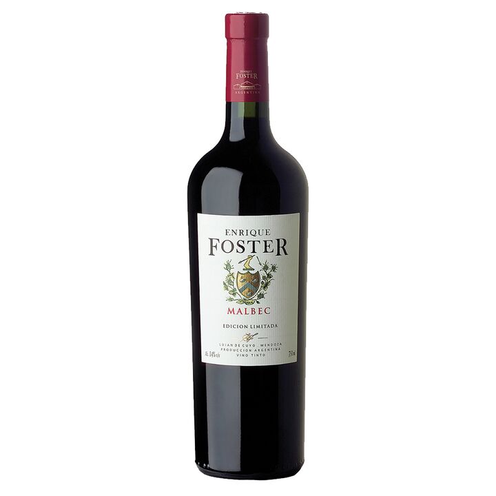 Vino Tinto Enrique Foster Limited Edition Malbec - Vista principal