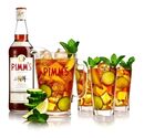 Aperitivo PimmsBitter750ml  Packx12 - Miniatura 2