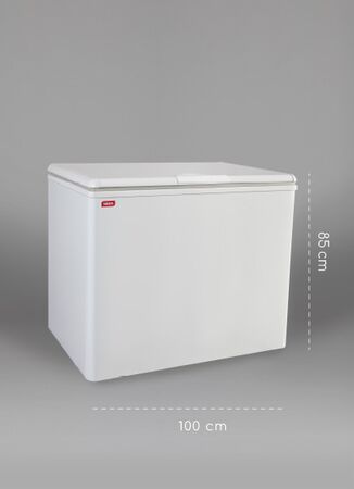 Freezer Neba F310 305L