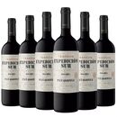 Vino Expedicion Sur Malbec - Pack x 6 - Miniatura 2