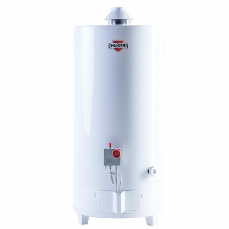 Termotanque Sherman 80 Litros a Gas Conexion Superior pie Fabrica Rheem