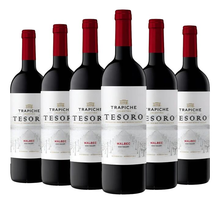 Vino El Tesoro Malbec - Pack x 6 - Vista 2