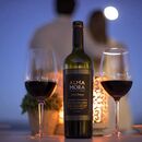 Vino Alma Mora Selección Reserve Malbec - Pack x 6 - Miniatura 3