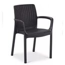 Silla Vos 2000 Ratan Apoya Brazos Grafito - Miniatura 2