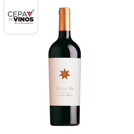 Vino Clos de Los Siete Blend