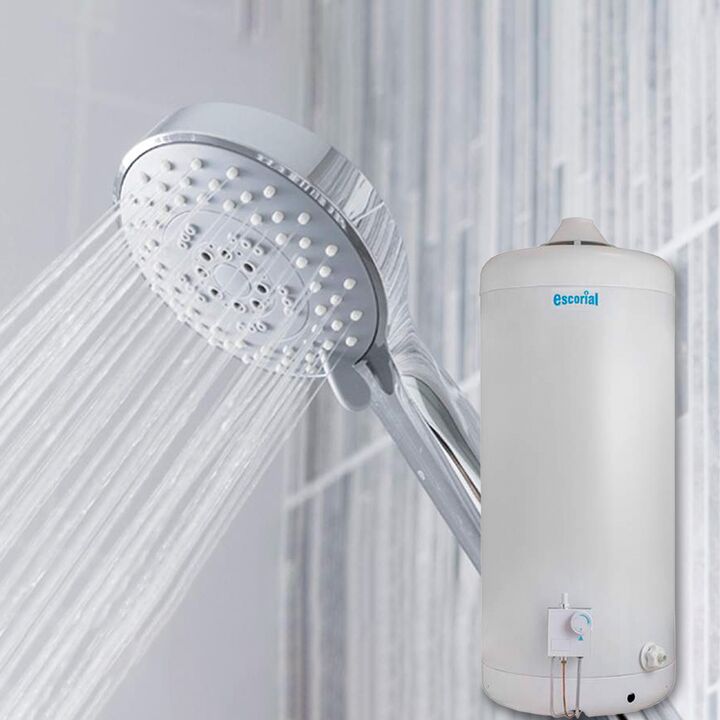 Termotanque Escorial 80l Multigas Conexión Superior  - Vista 6