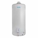 Termotanque a GAS Escorial 80 litros carga inferior - Miniatura 1