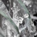 Lavavajillas Inverter Whirlpool Wlv14by 14 Cubiertos Blanco - Miniatura 8