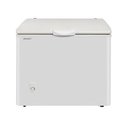 FREEZER BRIKET FR3300 295LT