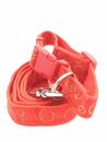 Correa De Perro Con Collar ROJA - 90485 RJ - Miniatura 3