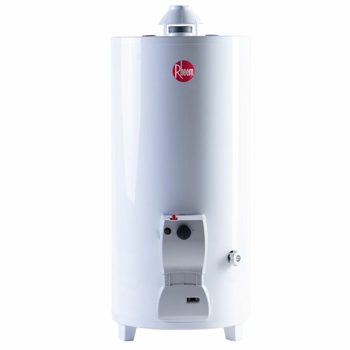 Termotanque Rheem a Gas 80 Litros Pie TPG080GNRH Garantia 10 Años - Vista principal