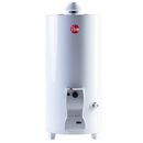 Termotanque Rheem a Gas 80 Litros Pie TPG080GNRH Garantia 10 Años - Miniatura 1