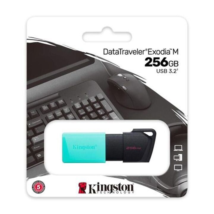 Pen Drive 256Gb Kingston 3.2 Dtxm Cian - Vista 1