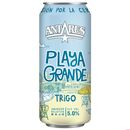 Cerveza Artesanal Antares Playa Grande Lata x 6 - Miniatura 1