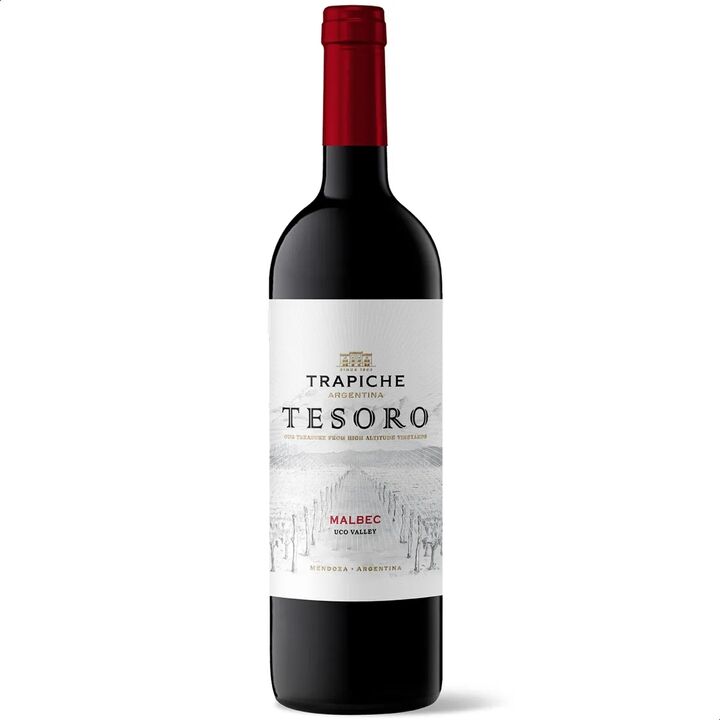Vino El Tesoro Malbec - Pack x 6 - Vista principal