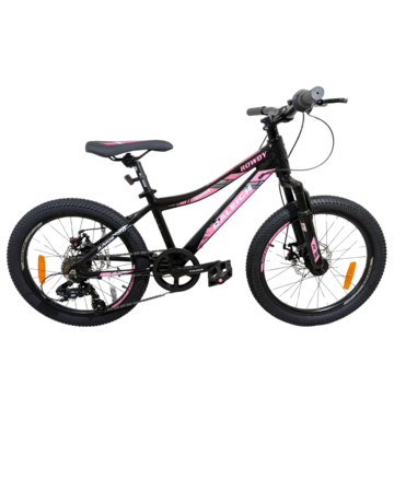 Bicicleta Raleigh Rowdy D / Negro/Rosa / Frenos a disco mecánicos / Cuadro de aluminio / 7Vel. / Rodado 20".