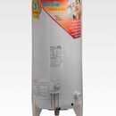 Termotanque A Gas Escorial 120lts Multigas Conexion Superior - Miniatura 5