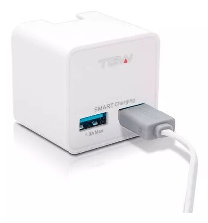 Cargador De Pared Con 2 Puertos Usb TAGWOOD - ICHAR32
