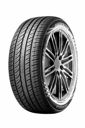 NEUMATICO EVERGREEN 225 45ZR17 94W EU72 XL