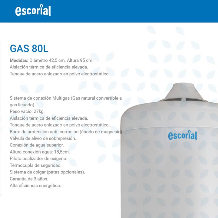 Termotanque Escorial 80l Multigas Conexión Superior  - Vista 7
