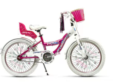 Bicicleta Raleigh jazzi R20 - Vista principal