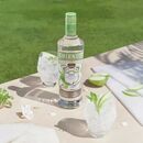 Vodka SmirnoffGreenApple700ml  Packx6 - Miniatura 4