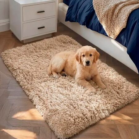 Alfombra Beige 1x0,6 Mts Nórdica Living Gadnic Lavable Súper Soft