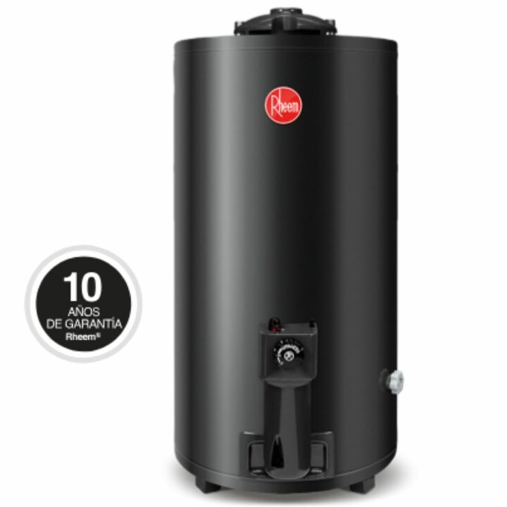 Termotanque Rheem a Gas Performance 80 litros de pie TGNP080RH - Vista principal