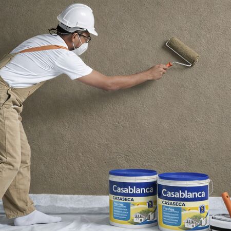 Casaseca Frentes Impermeabilizante 25 Kg