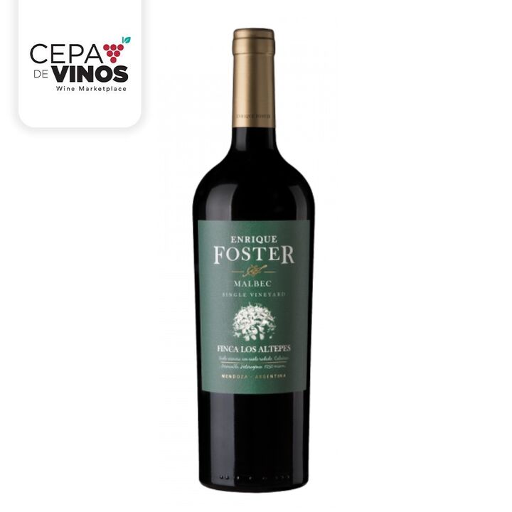 Vino Enrique Foster Single Vineyard Finca Los Altepes Malbec - Vista principal