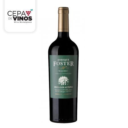 Vino Enrique Foster Single Vineyard Finca Los Altepes Malbec