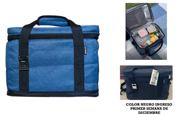 Cooler Queensland Plegable 23 Lts Portátil de Camping - Vista principal