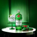 Gin Tanqueray London Dry700ml  Packx6 - Miniatura 3