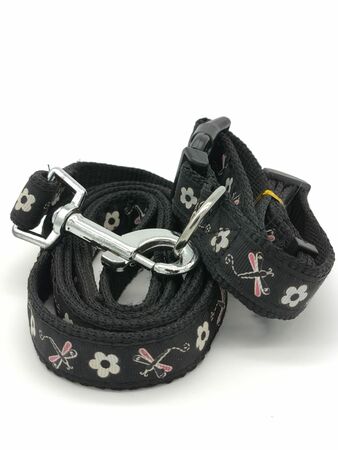 Correa De Perro Con Collar - 90485