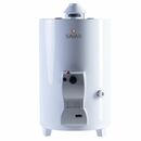 Termotanque Saiar 50 Litros Conexion Sup - Pie - A Gas  Fabrica Rheem - Miniatura 1