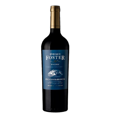 Enrique Foster SV Finca Los Barrancos Malbec