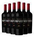 Vino TrapicheImpuroMalbec750ml  Packx6 - Miniatura 2