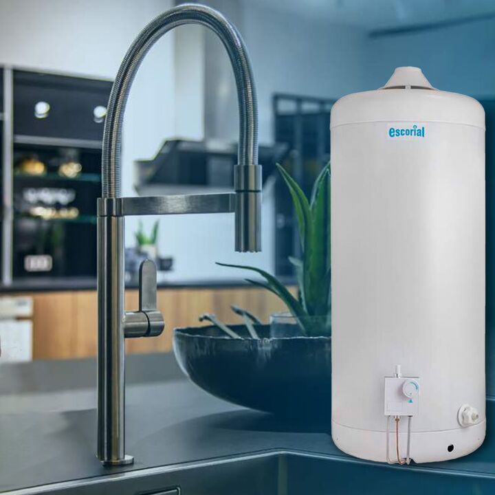 Termotanque Escorial 80l Multigas Conexión Superior  - Vista 5