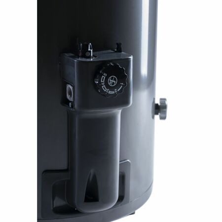 Termotanque Rheem a Gas Performance 80 litros de pie TGNP080RH