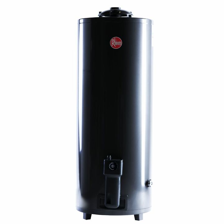 Termotanque Rheem a Gas Performance 120 litros de pie TGNP120RH - Vista principal