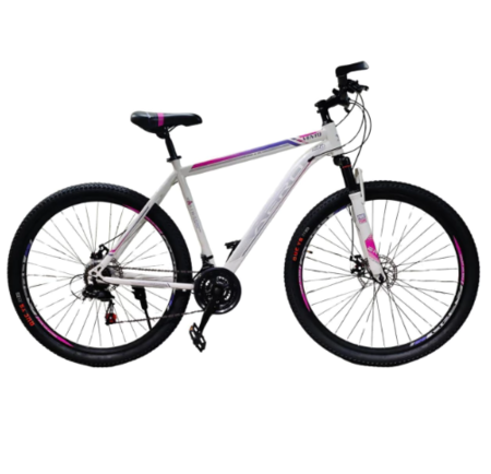 Bicicleta AERO BIKE – Modelo VENTO Rodado 29 21 velocidades Diseño Italiano