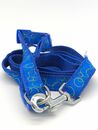 Correa De Perro Con Collar AZUL - 90485 AZL - Miniatura 3