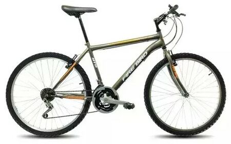 Bicicleta Firebird mtb R24 Gris