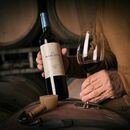 Vino La MascotaMalbec750ml  Packx6 - Miniatura 3