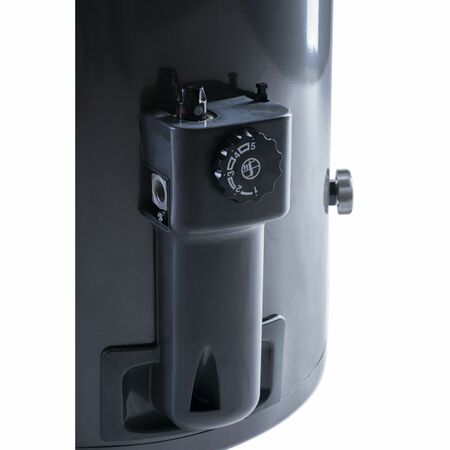 Termotanque Rheem a Gas 160 Litros Gas Natural APG160